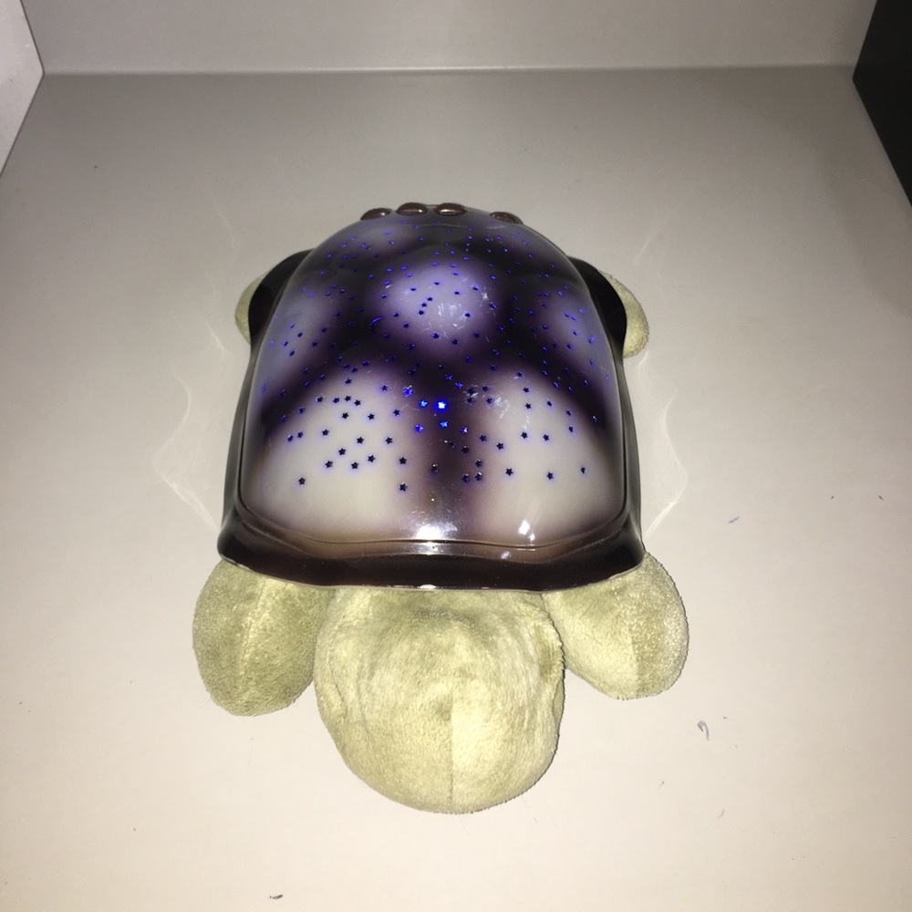 Glow in the dark sea turtle